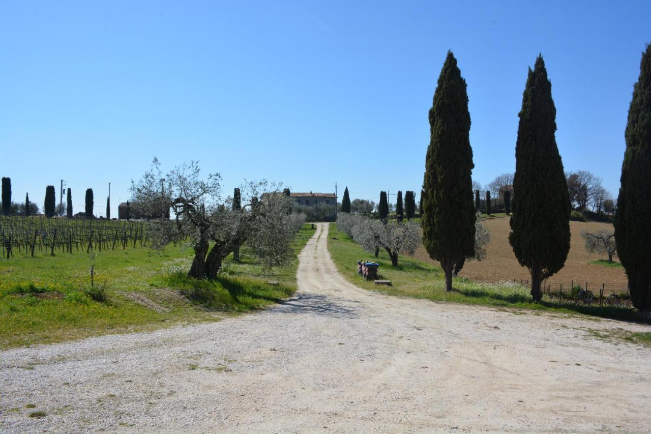 Scappo In Umbria, Casale Monti Villa Montoro  Luaran gambar